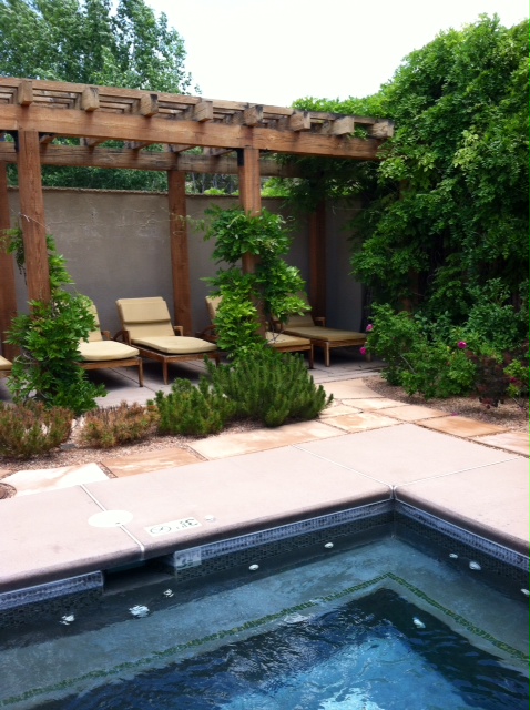 Chaise lounges by the jacuzzi at Four Seasons Rancho Encantado today.